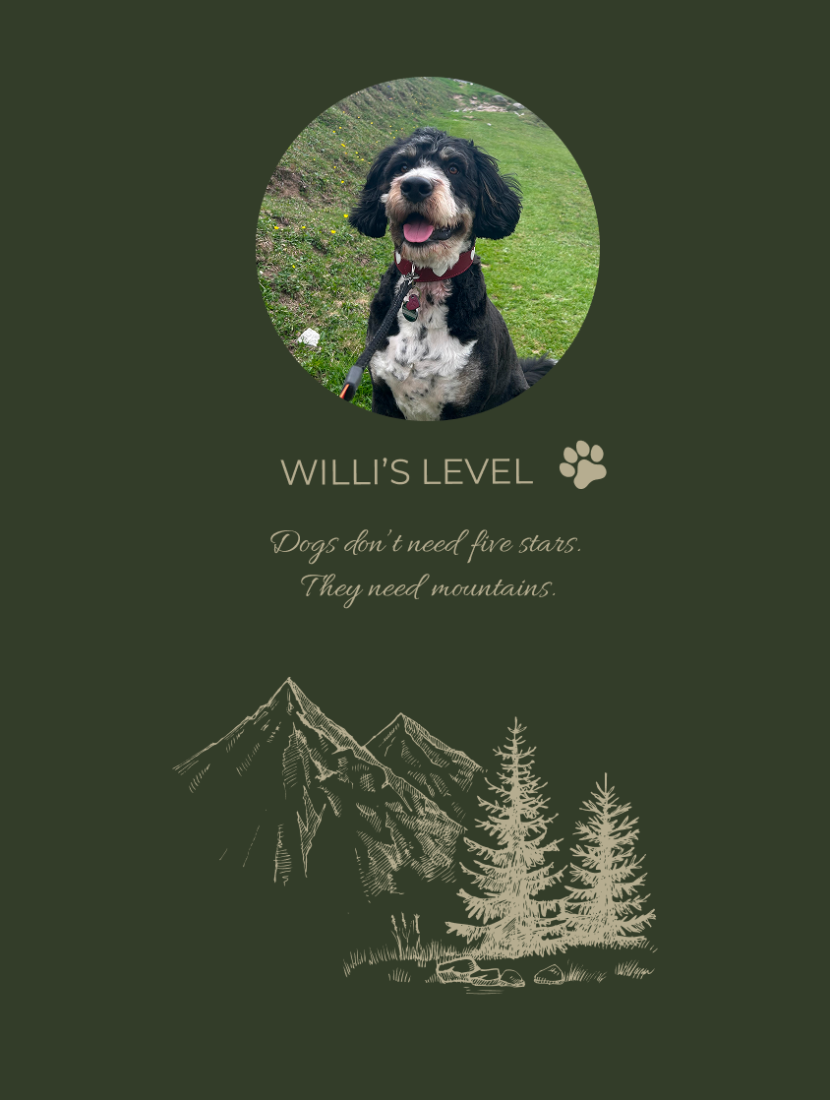 Urlaub mit Hund in Flachau